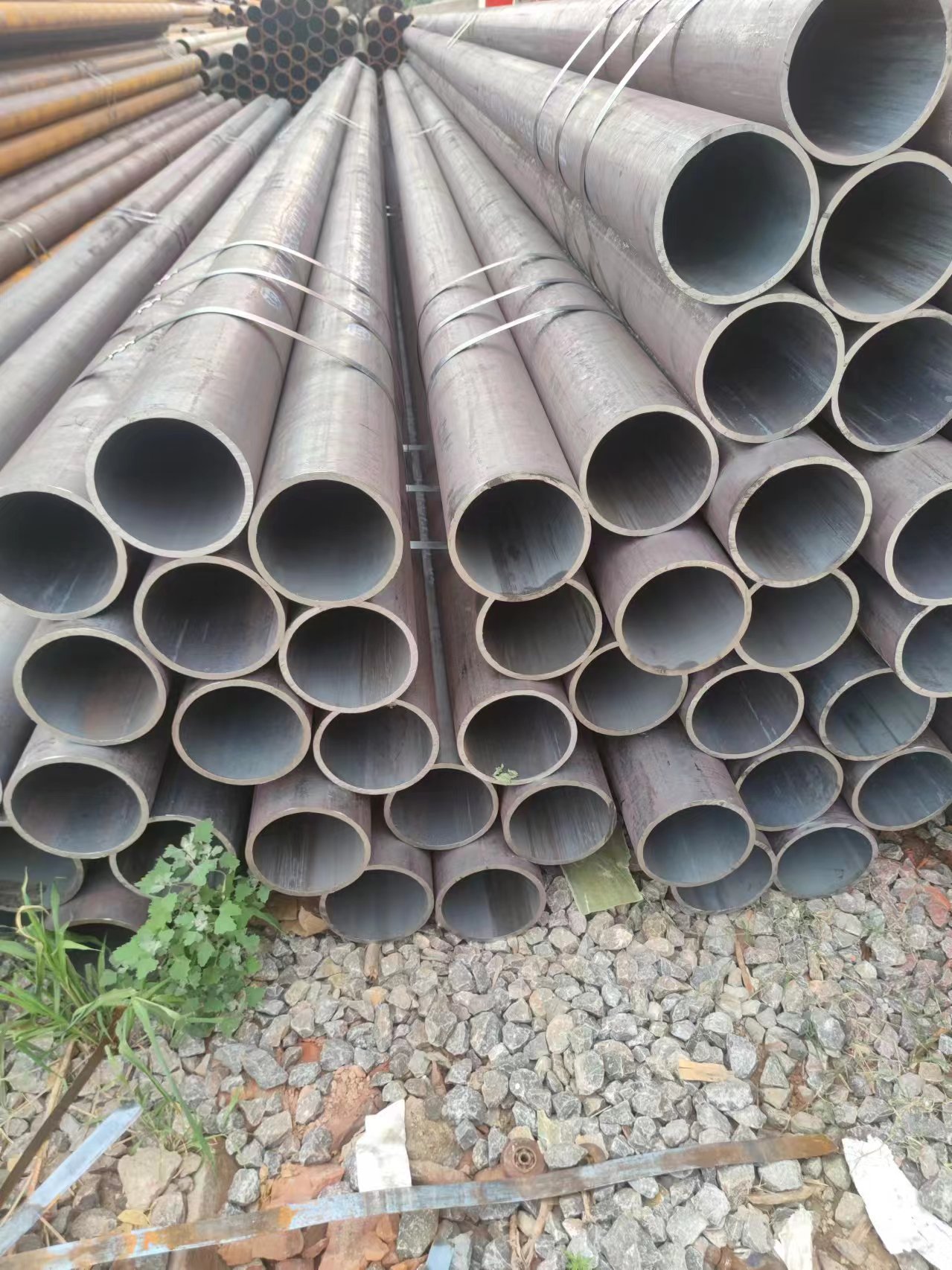 微信圖片_20240507151128.jpg 微信圖片_20240507151128.jpg